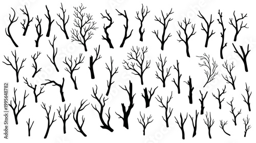 Minimal Black Dry Tree Branch Silhouette Set Wide Composition