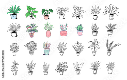 Houseplants in pots collection with detailed and outline styles, modern botanical