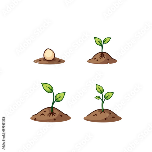Stages of Plant Growth Illustration with Soil and Seedlings