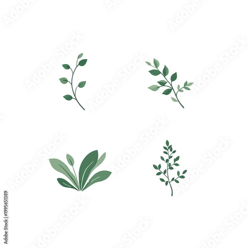Minimalist Botanical Illustrations of Green Leafy Branches on White Background