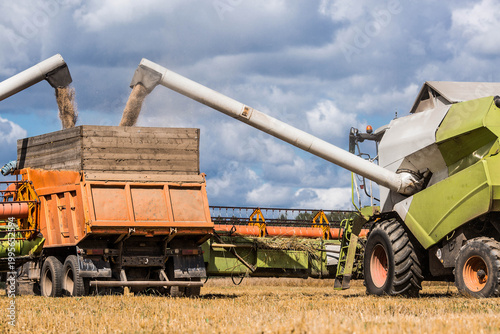 The concept of planting and harvesting a bountiful harvest. Agricultural machinery. Agricultural industry. A combine harvester picks up golden ears of ripe wheat.