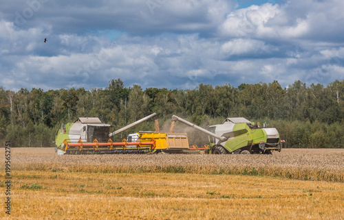 The concept of planting and harvesting a bountiful harvest. Agricultural machinery. Agricultural industry. A combine harvester picks up golden ears of ripe wheat.