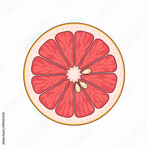 A vibrant, top-down illustration of a juicy, ripe grapefruit slice, showcasing its segmented flesh and small seeds.