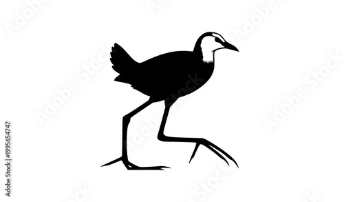 Walking jacana bird side view silhouette vector art isolated on white background for tropical wetland wildlife design concept