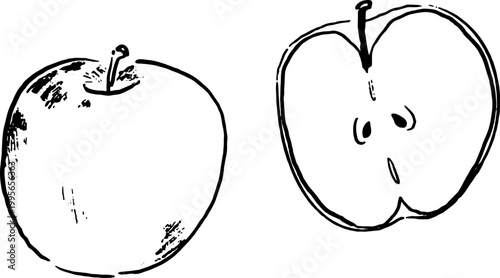 シンプルな林檎の手描き風イラスト/ Hand Drawn Fruit Illustration Apple