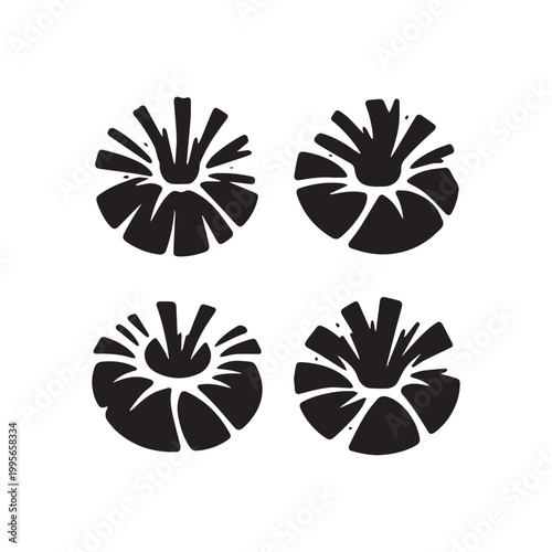 Abstract Floral Burst Designs in Monochrome Elegance a Set of Four Graphic Elements for Modern Art