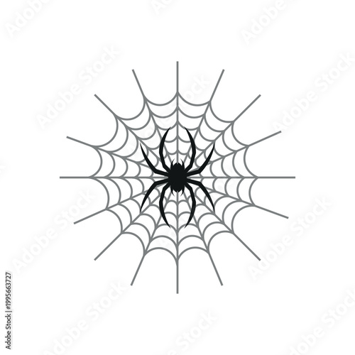 Spider Web Illustration