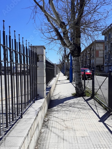 l marciapiede di una strada urbana, da un lato un muretto con ringhiera e dall'altro lato una serie di alberi spogli per l'inverno. Punto di fuga centrale.