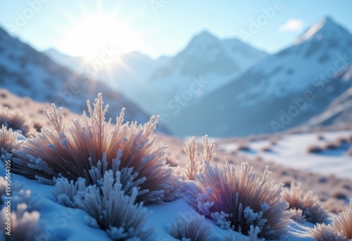 Wonders of Alpine Tundra Dramatic High Elevation Treeless Habitat Captivating Flora Fauna Splendor