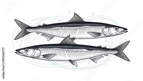 Detailed illustration of two pacific saury fish swimming in opposite directions with subtle artistic swirls in the background for seafood menus.