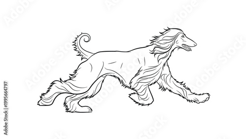 Fluid line drawing capturing the graceful running motion of a long-haired afghan hound with its fur flowing in the wind on a white background.