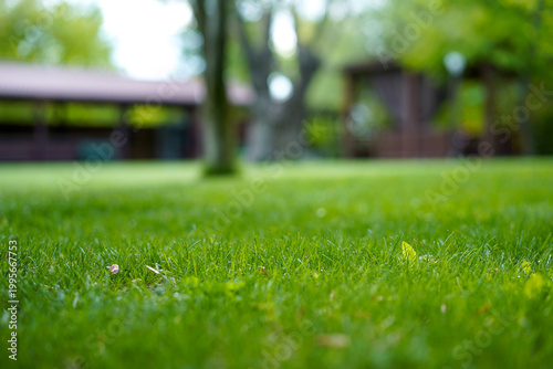 A wide, low-angle shot of a meticulously maintained green lawn in a park or resort setting. The background features several wooden gazebos