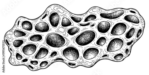 Organic porous structure resembling a biological cell or microscopic organism in detailed ink drawing style
