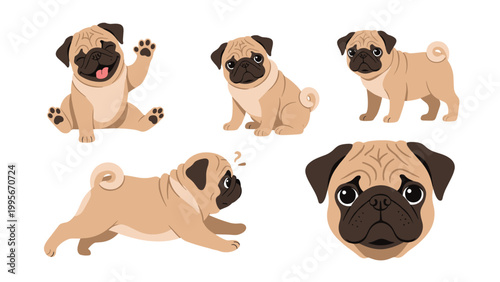 Set of cute pug dog character illustrations showing various playful poses and adorable facial expressions for pug enthusiasts.