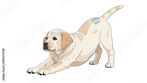 Realistic digital illustration of a yellow labrador puppy performing a playful bow position with its tail up and front legs down.