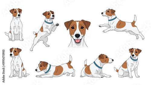Jack russell terrier activity set featuring the energetic dog breed in various states of movement like jumping sitting and playing.