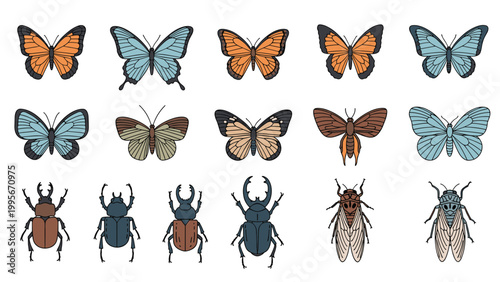 Grid of colorful insect illustrations featuring various types of butterflies, beetles, and cicadas in a detailed artistic style.