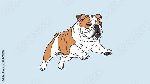 Illustration of a powerful English bulldog jumping through the air against a soft light blue background with shadows.