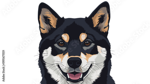 Detailed headshot of a black and tan Shiba Inu dog captures its alert expression and characteristic pointed ears on a white background.