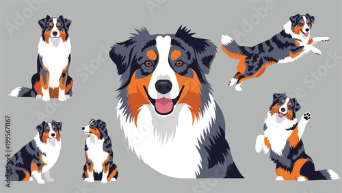 Australian Shepherd dog character illustrations depict various poses such as sitting and jumping with a large central headshot.