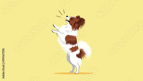 Small Papillon dog stands on its hind legs while barking with its mouth open against a solid bright yellow background.