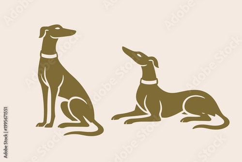 Obraz na płótnie Greyhound dog doodle vector illustration set with sitting and lying hound pet si