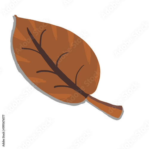 vector illustration of a brown leaf
