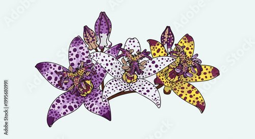 Whimsical spotted flowers, purple and yellow blooms with delicate stamens and buds