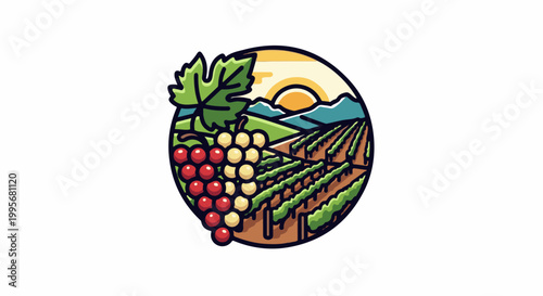 Vineyard scene with ripening grapes and sun over rolling hills