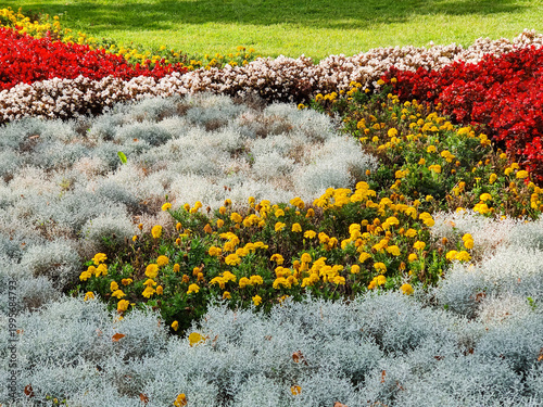 Colorful garden flower bed with variety of colorful flowers in park in summer day. Beauty in nature, landscape.