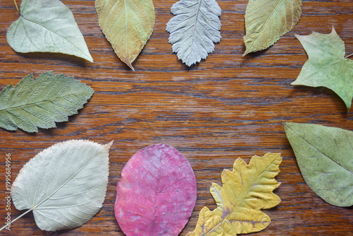 Dry leaves of various shapes and colors on old wooden background. Autumn composition, herbarium. Top view. Copy space. Selective focus