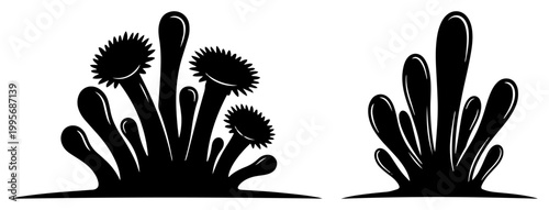 Sea anemone and coral organic plant shapes in a stylized black and white vector silhouette
