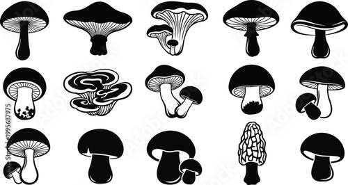 Collection of black and white of various mushroom types fungi