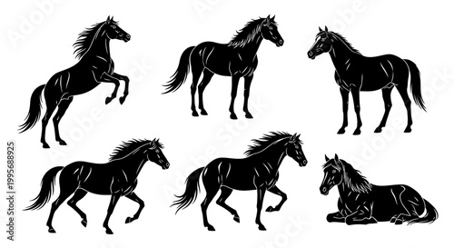 Black Horse Silhouettes Collection in Various Poses ? Equestrian Design
