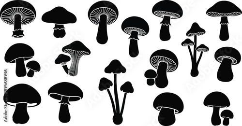 Collection of black mushroom silhouettes with white outlines on a white background, fungi