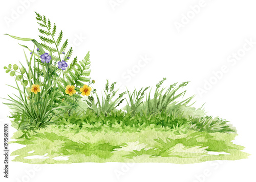 Grass background clipart watercolor illustration with wildflowers, hand drawn meadow ground element for landscape design, natural greenery base, png isolated.