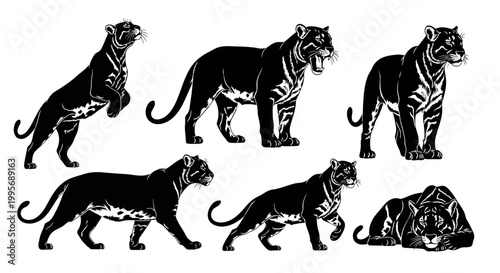 Black Panther Silhouette Set Vector Illustration