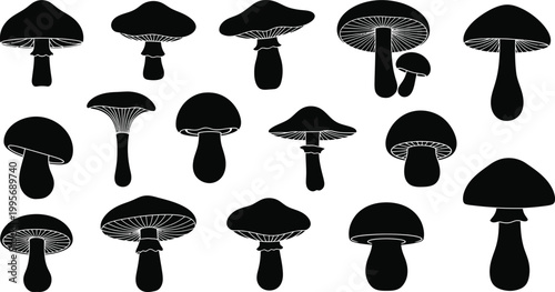 Collection of black silhouette mushroom with detailed gills and stems fungi white