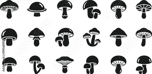 Collection of black silhouette mushroom with varied caps and stems white background, fungi