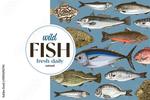 Edible fish sketched vector collection