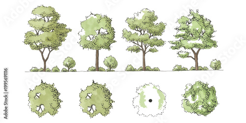 Set of hand drawn trees and shrubs in elevation and top view for landscape design