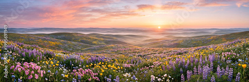 Panoramic landscape of a mountain meadow filled with spring wildflowers at sunset