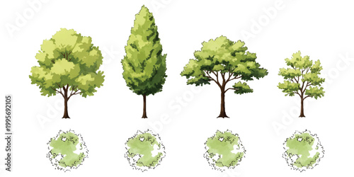 Set of four different green trees with top view plan illustrations for landscape design