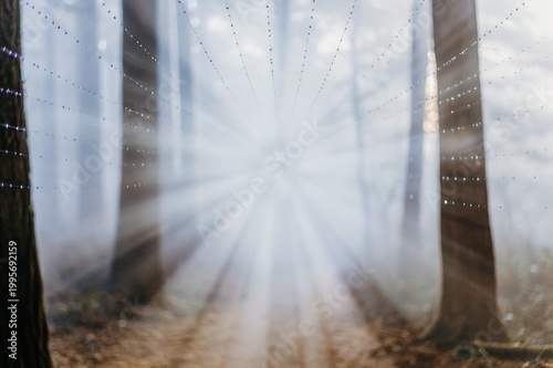 Misty Forest Path with Sunlight Rays Through Trees Dreamlike Nature Scene