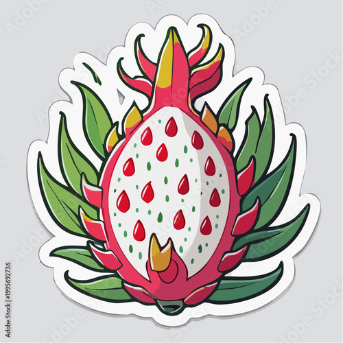 Dragon Fruit Illustration