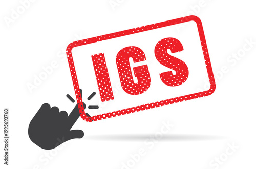 IGS - impot sur les grandes successions - acronyme