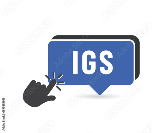 IGS - impot sur les grandes successions - acronyme