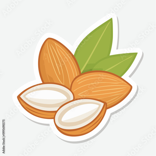Illustration of Almonds with Leaves