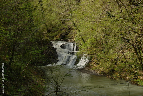 waterfall in the park