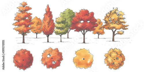 Set of hand drawn sketch trees for architectural landscape design and garden planning